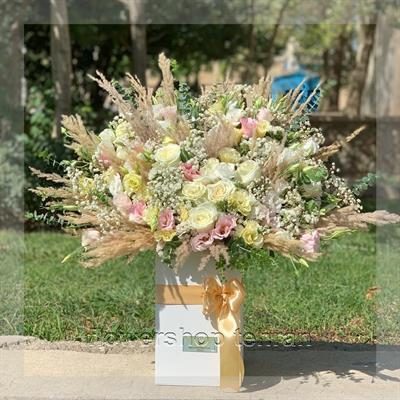 با خرید گل ژیپسوفیلیا اولین نگاه هر مهمان را میخکوب کن