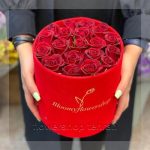 ترکیب جذاب قیمت گل ژیپسوفیلا بنفش برای هدیه، دکور یا میز پذیرش