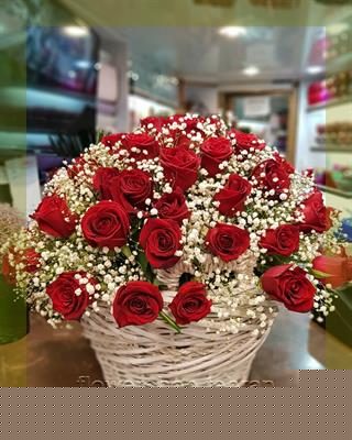 قیمت گل رز؛ انتخابی مطمئن برای هر سن و سلیقه