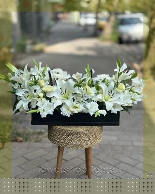 با گل جاودان قیمت فضای سرد و خسته‌کننده را زنده کن