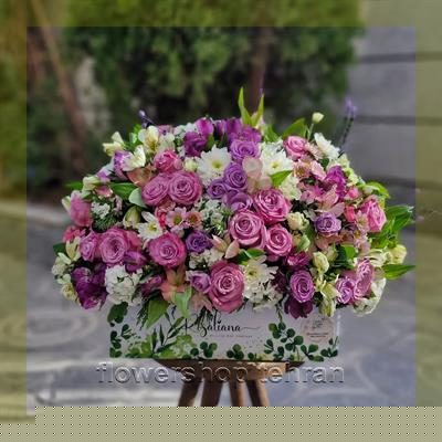 با گل اپارتمانی فضای خانه یا محل کار را زنده کن