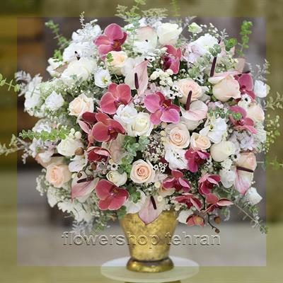 گل در گلدان؛ انتخابی مطمئن برای هر سن و سلیقه