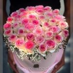 گلفروشی نزدیک وزرا میدان آرژانتین