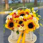 گلدان سانسوریا با قیمت مناسب و کیفیت حرفه‌ای