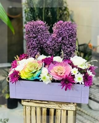 گل های آپارتمانی زیبا و مقاوم؛ مناسب تولد، عیادت، تشکر و دیدار دوستانه