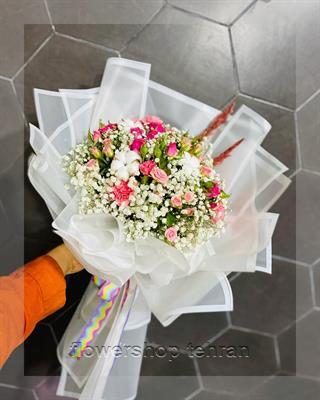 گلهای آپارتمانی جدید؛ انتخابی مطمئن برای هر سن و سلیقه