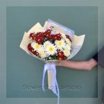 اگر دنبال هدیه شیک و بی‌دردسر هستی، گیاه سانسوریا قیمت گزینه خوبی است