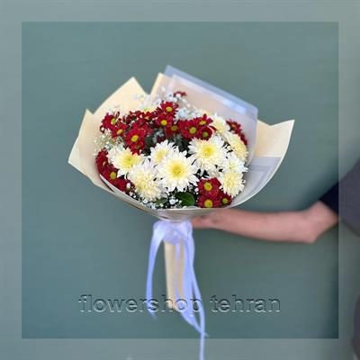اگر دنبال هدیه شیک و بی‌دردسر هستی، گیاه سانسوریا قیمت گزینه خوبی است