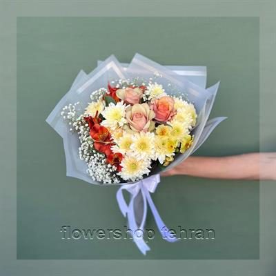 با قیمت گل سانسوریا پوست ماری فضای سرد و خسته‌کننده را زنده کن