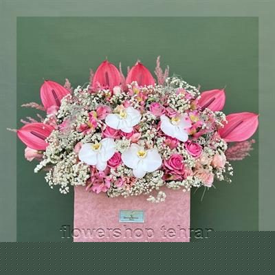 خرید گل ارکیده طبیعی مناسب شرکت‌ها، مطب‌ها و فضاهای اداری