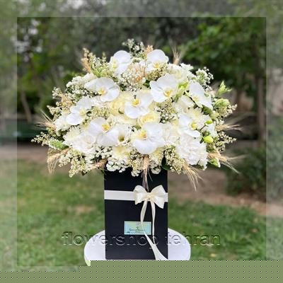 اگر وقت رفتن به گلفروشی را نداری، انواع گل فیلودندرون را اینترنتی سفارش بده