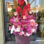 با انواع گل رز رونده بدون حرف اضافه، توجه و محبتت را نشان بده