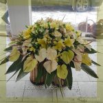 انواع گل قرمز؛ انتخابی مطمئن برای هر سن و سلیقه