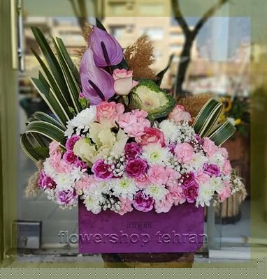 گل شیپوری قرمز ؛ هدیه‌ای امن برای وقتی نمی‌دانی چه بخری