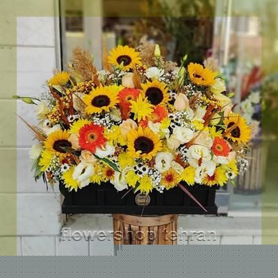 با عکس گل خواستگاری فضای خانه یا محل کار را زنده کن