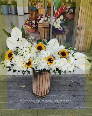 گل میخکی ؛ هدیه‌ای امن برای وقتی نمی‌دانی چه بخری