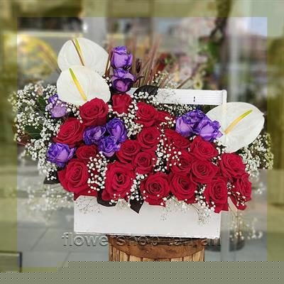 با قیمت گل سنبل فضای خانه یا محل کار را زنده کن