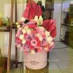 با زیباترین اسم گل فضای خانه یا محل کار را زنده کن