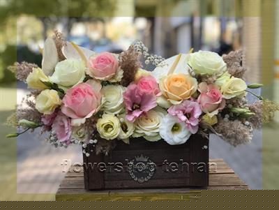گلهای آپارتمانی رنگی با قیمت مناسب و کیفیت حرفه‌ای