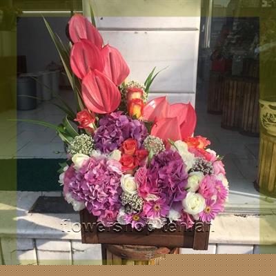 اگر دنبال هدیه شیک و بی‌دردسر هستی، گلهای آپارتمانی گلدار گزینه خوبی است