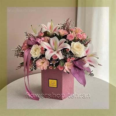 خرید گیاهان رنگی آپارتمانی برای خوشحال کردن عزیزانت در هر مناسبتی
