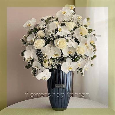 با گل رونده دیواری بدون حرف اضافه، توجه و محبتت را نشان بده