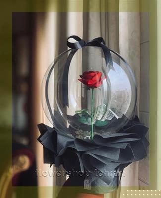 با گیاه رونده فضای خانه یا محل کار را زنده کن