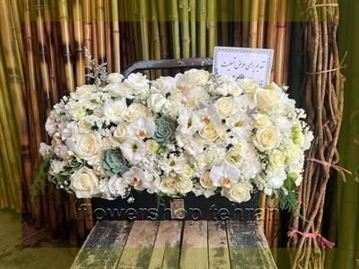 گل برای روی میز کار؛ انتخابی مطمئن برای هر سن و سلیقه