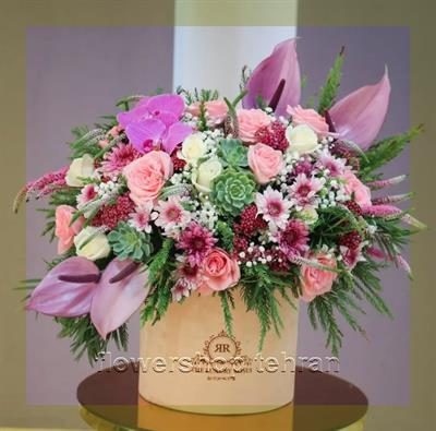 ترکیب جذاب گیاهان رونده فضای باز برای هدیه، دکور یا میز پذیرش