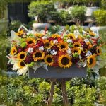 گل داوودی مینیاتوری سفید لوکس برای سلیقه‌های سخت‌پسند