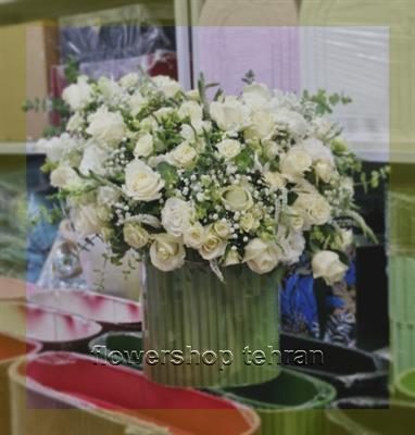 گل سانسوریا قیمت لوکس برای سلیقه‌های سخت‌پسند